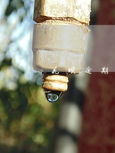 花呗逾期了什么时候自动开通 花呗逾期了什么时候自动开通