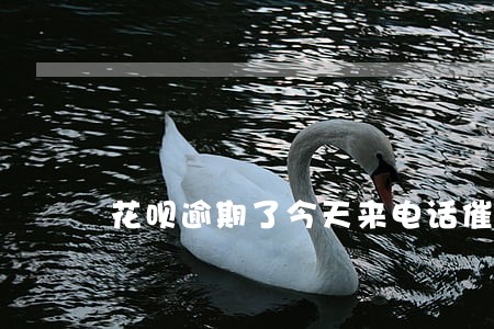 花呗逾期了今天来电话催款了 花呗逾期了今天来电话催款了