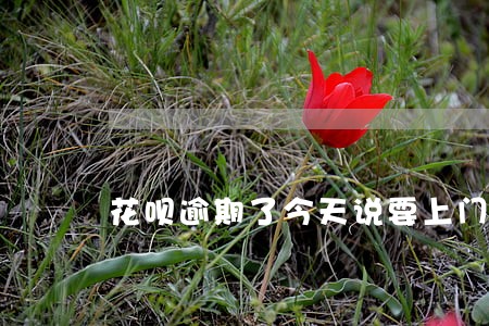 花呗逾期了今天说要上门催收 花呗逾期了今天说要上门催收