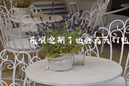 花呗逾期了他会天天打电话吗 花呗逾期了他会天天打电话吗
