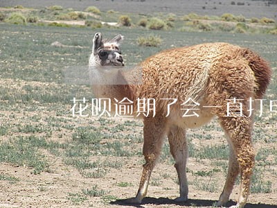 花呗逾期了会一直打电话吗 花呗逾期了会一直打电话吗