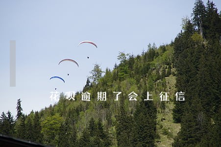花呗逾期了会上征信 花呗逾期了会上征信