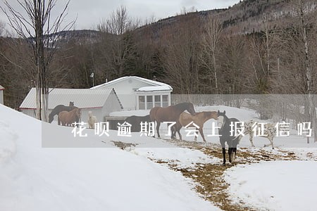 花呗逾期了会上报征信吗 花呗逾期了会上报征信吗