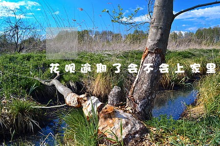 花呗逾期了会不会上家里来 花呗逾期了会不会上家里来