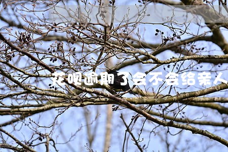 花呗逾期了会不会给亲人打电话 花呗逾期了会不会给亲人打电话