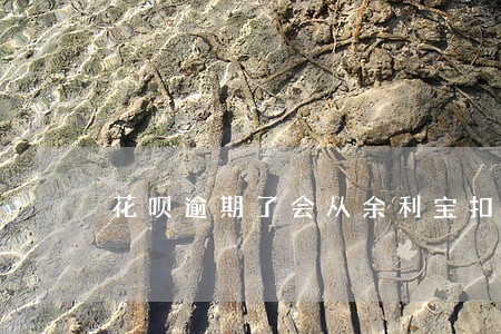 花呗逾期了会从余利宝扣款吗