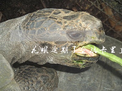 花呗逾期了会从卡里直接扣钱吗 花呗逾期了会从卡里直接扣钱吗