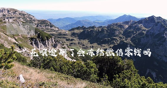 花呗逾期了会冻结微信零钱吗 花呗逾期了会冻结微信零钱吗