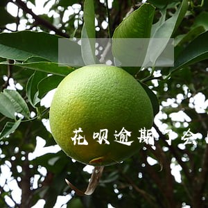 花呗逾期了会出现什么情况 花呗逾期了会出现什么情况