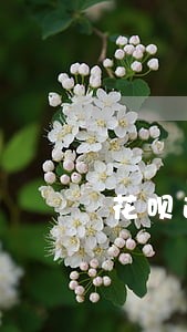 花呗逾期了会影响家人的花呗吗 花呗逾期了会影响家人的花呗吗