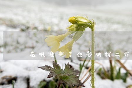 花呗逾期了会影响找工作吗 花呗逾期了会影响找工作吗