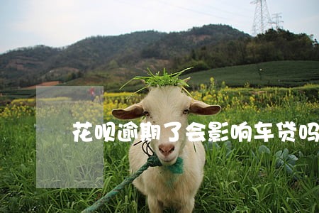 花呗逾期了会影响车贷吗 花呗逾期了会影响车贷吗