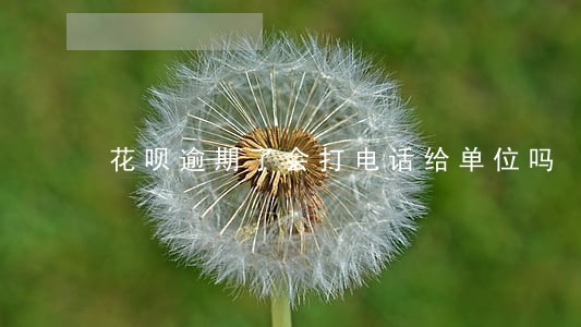 花呗逾期了会打电话给单位吗 花呗逾期了会打电话给单位吗