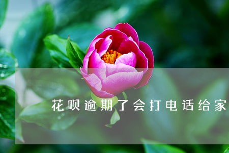 花呗逾期了会打电话给家人吗 花呗逾期了会打电话给家人吗