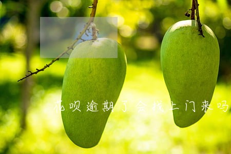 花呗逾期了会找上门来吗 花呗逾期了会找上门来吗