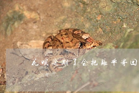 花呗逾期了会把账单寄回家