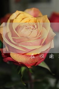 花呗逾期了会报警吗 花呗逾期了会报警吗