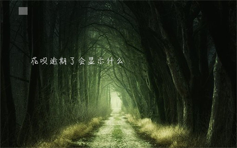 花呗逾期了会显示什么 花呗逾期了会显示什么