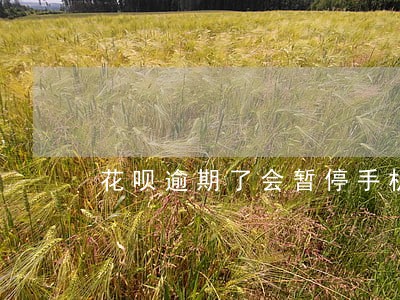 花呗逾期了会暂停手机号码吗 花呗逾期了会暂停手机号码吗