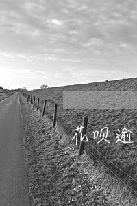 花呗逾期了会给家里面打电话吗 花呗逾期了会给家里面打电话吗