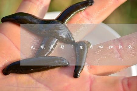 花呗逾期了会自动扣款么 花呗逾期了会自动扣款么