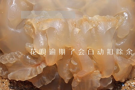 花呗逾期了会自动扣除余额吗 花呗逾期了会自动扣除余额吗
