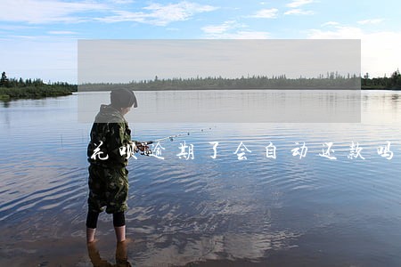 花呗逾期了会自动还款吗 花呗逾期了会自动还款吗