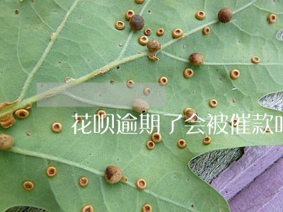 花呗逾期了会被催款吗 花呗逾期了会被催款吗