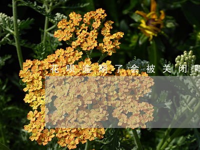 花呗逾期了会被关闭吗 花呗逾期了会被关闭吗