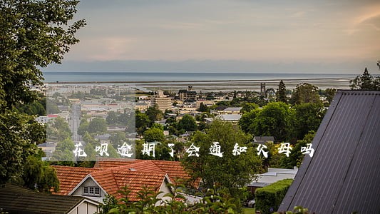 花呗逾期了会通知父母吗 花呗逾期了会通知父母吗