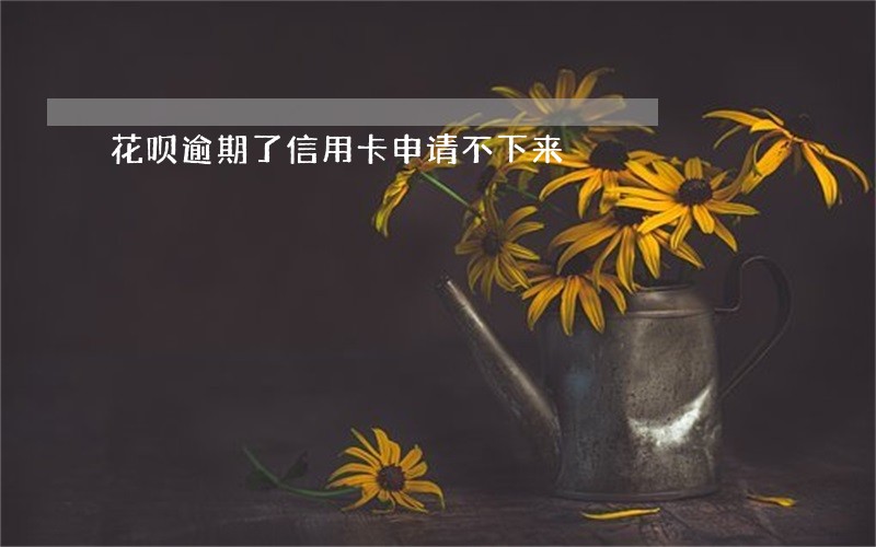 花呗逾期了信用卡申请不下来 花呗逾期了信用卡申请不下来