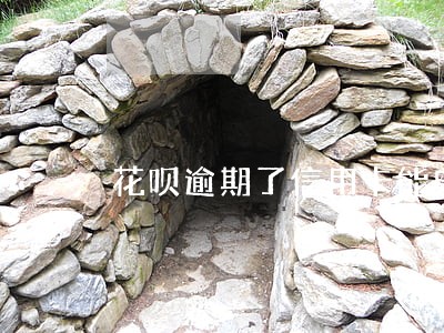 花呗逾期了信用卡能申请嘛 花呗逾期了信用卡能申请嘛