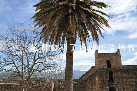 花呗逾期了借呗还能借钱吗 花呗逾期了借呗还能借钱吗