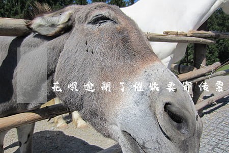 花呗逾期了催收要寄传票 花呗逾期了催收要寄传票