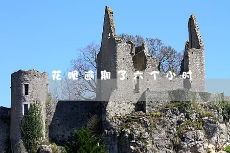 花呗逾期了六个小时 花呗逾期了六个小时