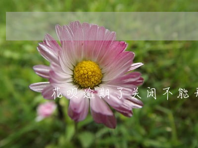花呗逾期了关闭不能开怎么恢复 花呗逾期了关闭不能开怎么恢复