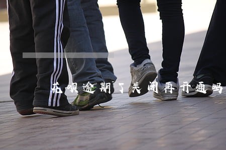 花呗逾期了关闭再开通吗 花呗逾期了关闭再开通吗