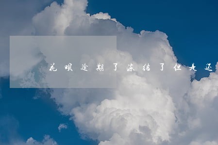 花呗逾期了冻结了但是还过 花呗逾期了冻结了但是还过