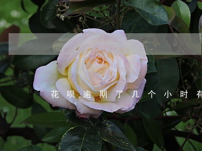 花呗逾期了几个小时有什么影响 花呗逾期了几个小时有什么影响