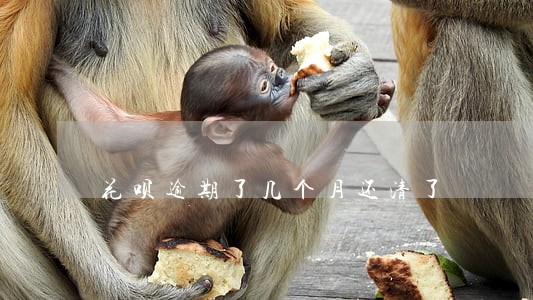 花呗逾期了几个月还清了 花呗逾期了几个月还清了