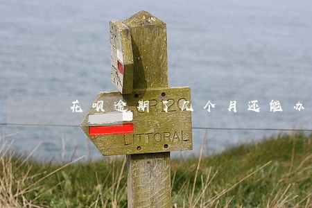 花呗逾期了几个月还能办信用卡吗 花呗逾期了几个月还能办信用卡吗