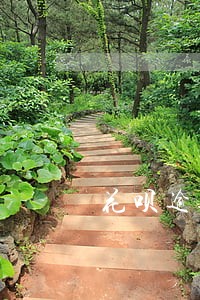 花呗逾期了几个还清会上征信吗 花呗逾期了几个还清会上征信吗