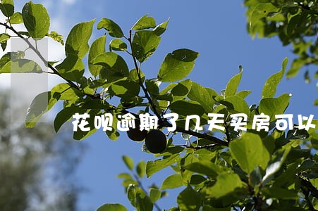花呗逾期了几天买房可以贷款吗 花呗逾期了几天买房可以贷款吗