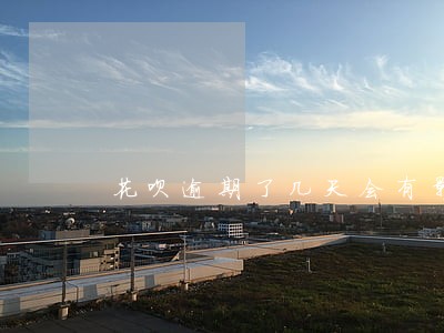 花呗逾期了几天会有影响吗 花呗逾期了几天会有影响吗