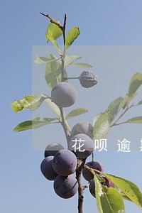花呗逾期了几天对房贷有影响么 花呗逾期了几天对房贷有影响么