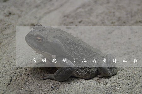 花呗逾期了几天有什么后果 花呗逾期了几天有什么后果
