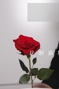 花呗逾期了几小时 花呗逾期了几小时