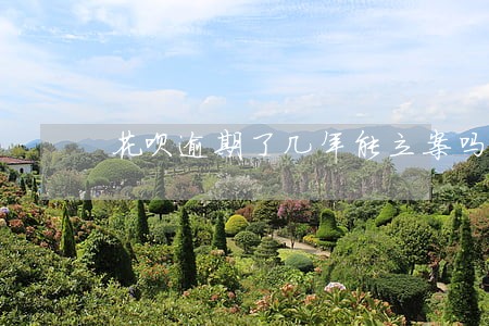 花呗逾期了几年能立案吗 花呗逾期了几年能立案吗