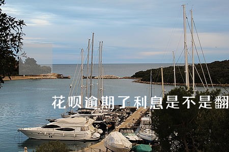 花呗逾期了利息是不是翻倍