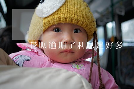 花呗逾期了利息是好多 花呗逾期了利息是好多